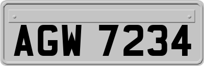 AGW7234