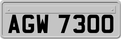 AGW7300