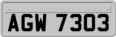 AGW7303
