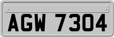 AGW7304