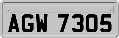 AGW7305