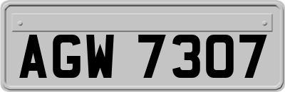 AGW7307