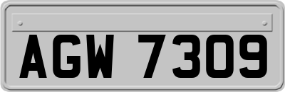 AGW7309