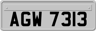 AGW7313