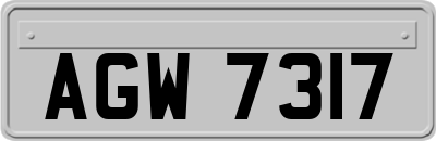 AGW7317