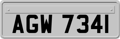 AGW7341