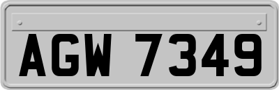 AGW7349