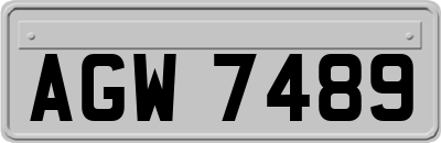 AGW7489