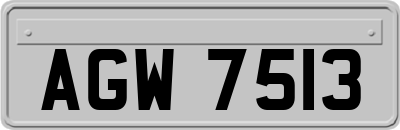 AGW7513