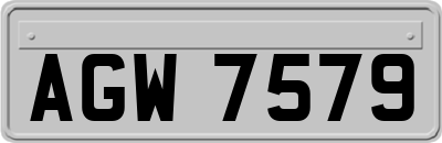 AGW7579