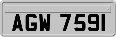 AGW7591