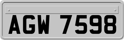 AGW7598
