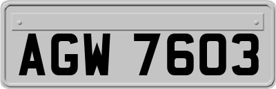 AGW7603