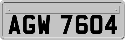 AGW7604