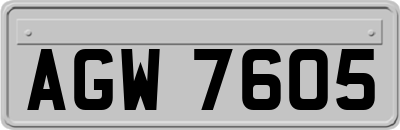 AGW7605