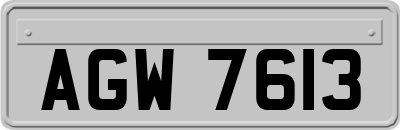 AGW7613