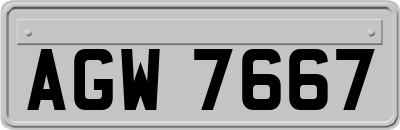 AGW7667