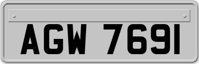 AGW7691