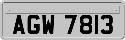 AGW7813