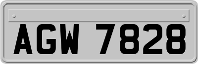 AGW7828