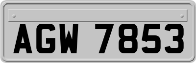 AGW7853