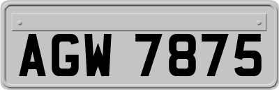 AGW7875