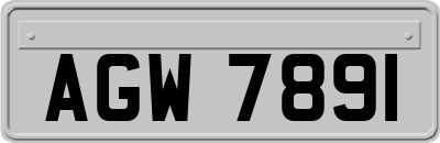 AGW7891