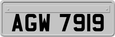 AGW7919