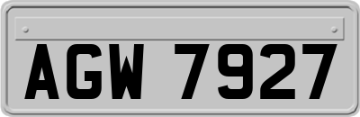 AGW7927