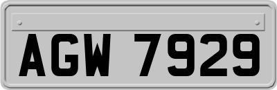 AGW7929