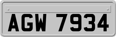 AGW7934