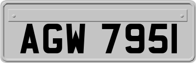 AGW7951