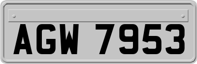 AGW7953