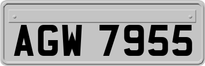 AGW7955