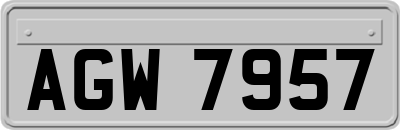 AGW7957