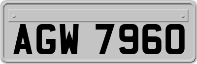 AGW7960