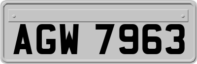 AGW7963