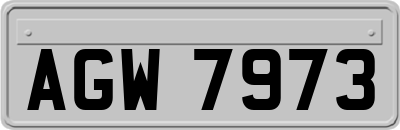 AGW7973