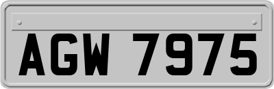 AGW7975