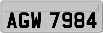 AGW7984