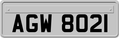 AGW8021