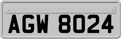 AGW8024