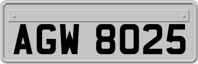 AGW8025
