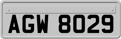 AGW8029