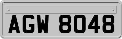 AGW8048