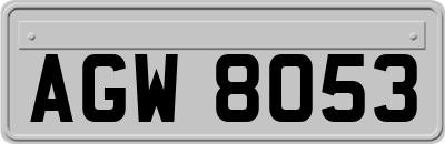 AGW8053