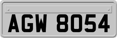AGW8054