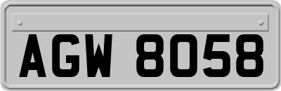 AGW8058