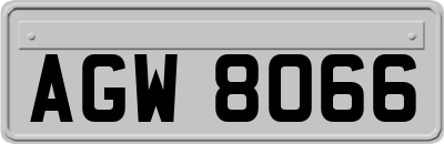 AGW8066