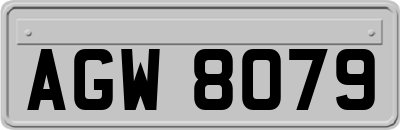 AGW8079